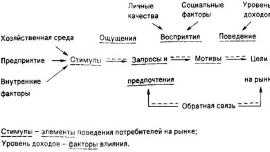 Photo of Анализ запросов и предпочтений